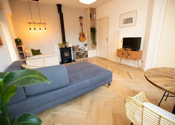 Cute House 펜션 잔드보르트